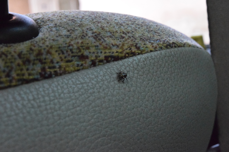 Hey there lil’ guy.